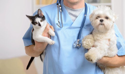 cao đẳng thú y giáo dục docs